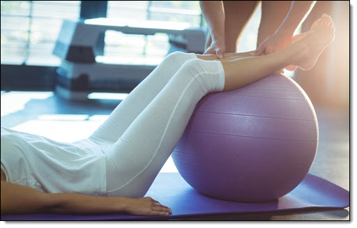Exercise Ball